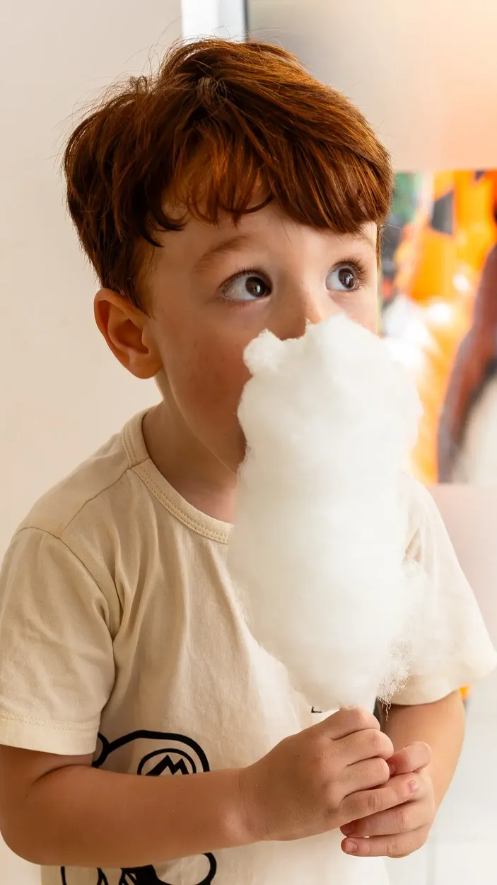 Algodão-Doce-Festa-Evento-Infantil-Aniversário-Ratimbumrecreacao-Carrinhos-Gourmet-Grande-Florianópolis